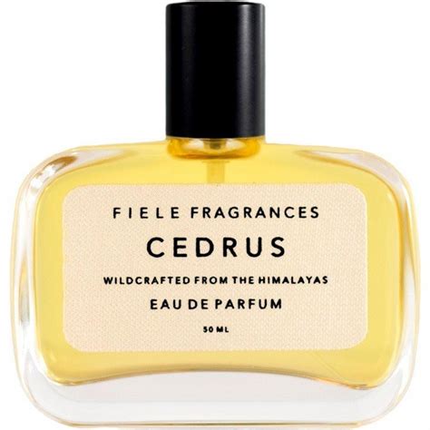 cedrus perfume reviews